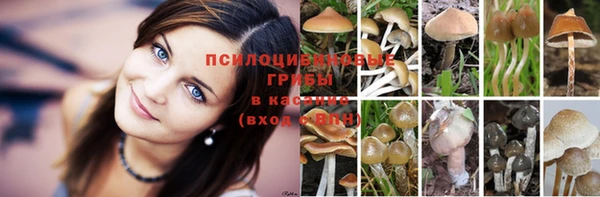 синтетический гашиш Краснослободск